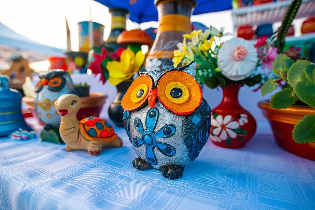 SaveClip.App_616780542_1492754362849964_8204090775570590950_n