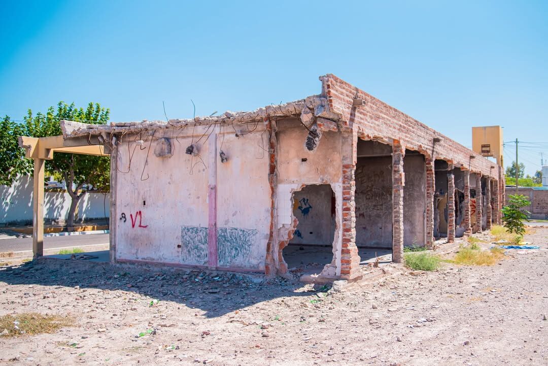 SaveClip.App_643331436_1533003095491757_1782719060482488618_n