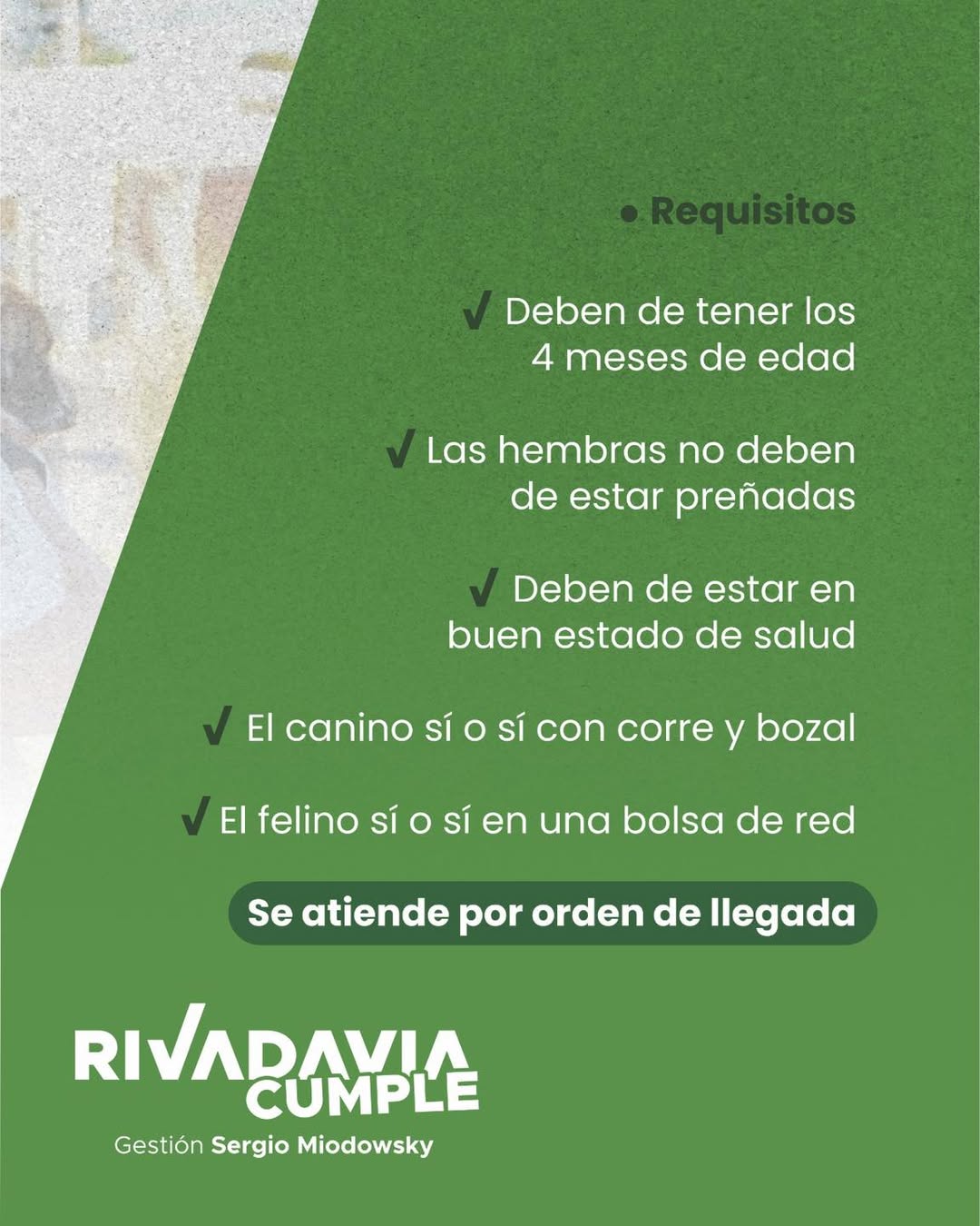 SaveClip.App_656954734_1377085014453980_5882120058115321189_n