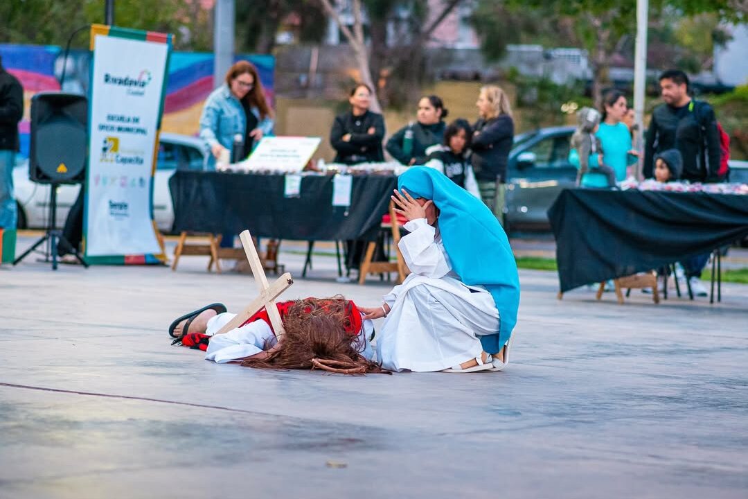 SaveClip.App_658851805_18097276448000733_5529207821209306559_n