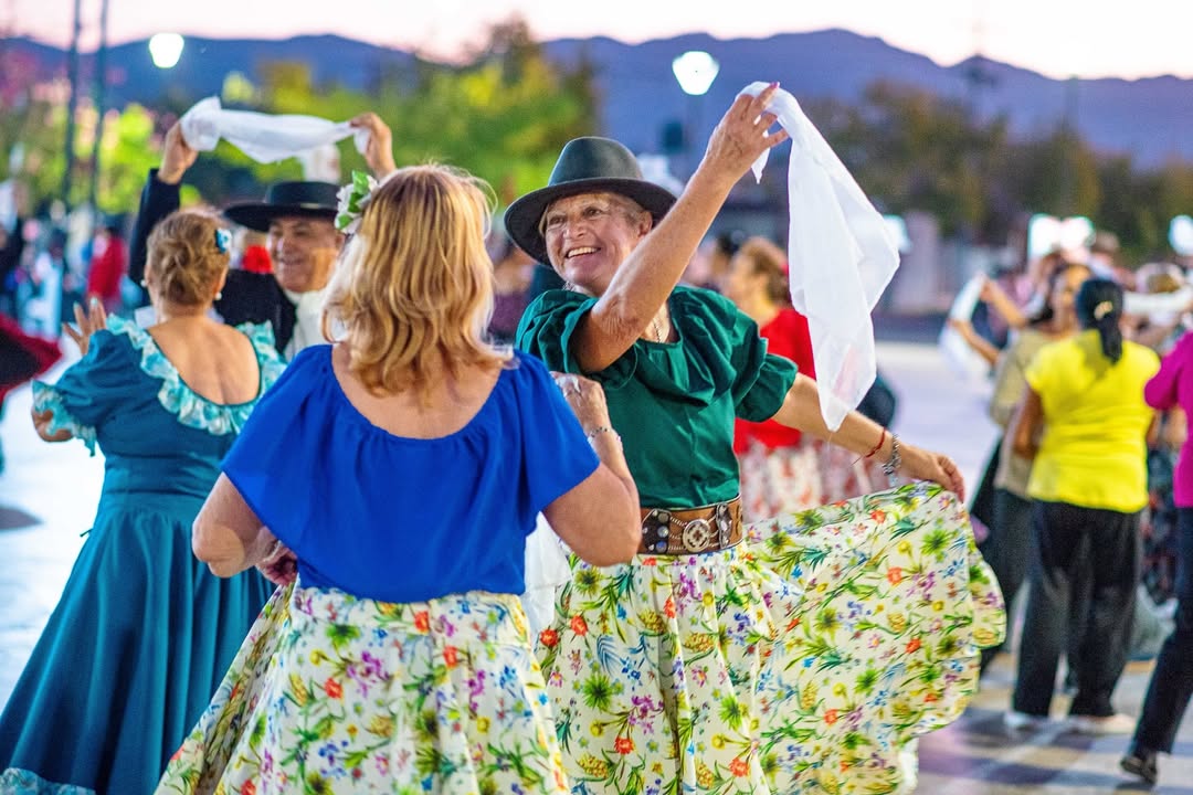 SaveClip.App_662846889_18097495097000733_8471243176988989748_n